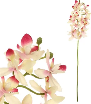 Umělá květina Autronic Orchidea drobnokvětá 40 cm žlutá/růžová