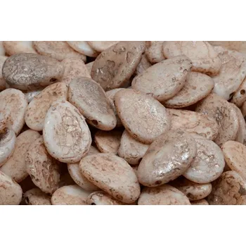 Korálek Lístek sasanky 11x16mm č. 54 (11x16mm)