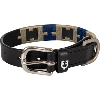 Obojek pro psa EQUESTRO Obojek pro psy Polo H Equestro, černý 25