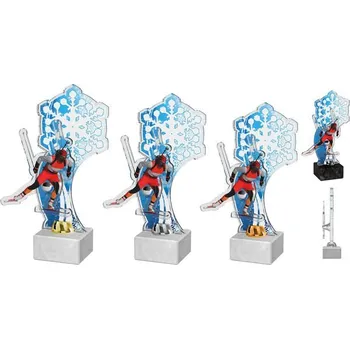 Poháry Bauer Akrylátová trofej ACTS0020M6 | Sjezdové lyžování