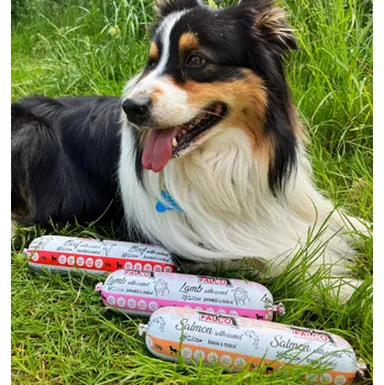 Krmivo pro psa Sokol Falco SALÁM HOVĚZÍ S MRKVÍ 700G