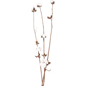 umělá květina Bílo hnědá dekorační květina bavlník – 80 cm