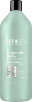 Šampon Redken Amino Mint Shampoo