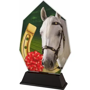 Poháry Bauer Akrylátová trofej ACSC001M30 | Jezdectví