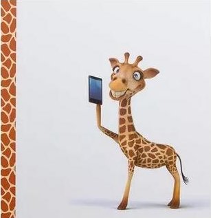 Dětské fotoalbum, na fotorůžky, HDFA-519 Giraffe 2