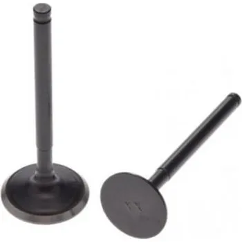 Motor pro motocykl Ventily motoru pitbike YX 160cc sada sací a výfukový