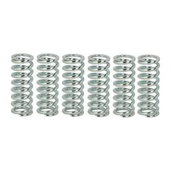 Spojkové pružiny TRW Suzuki GSX 600 92-97