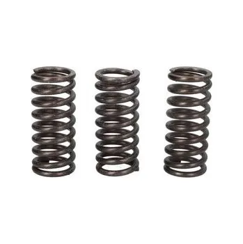 Spojkové pružiny TRW Triumph 900 Bonneville T 100, Black, liquid cooled 17-