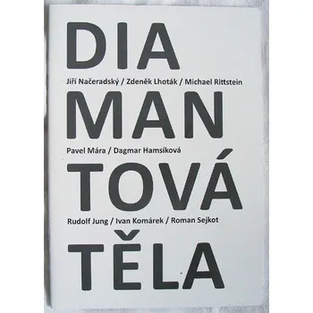 RC model auta Diamantová těla