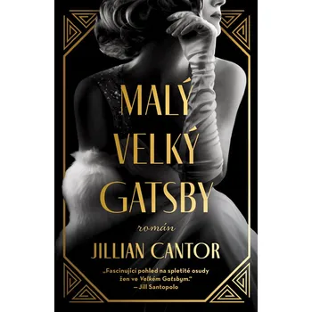 Kniha Malý velký Gatsby - Jillian Cantor (E-Kniha)