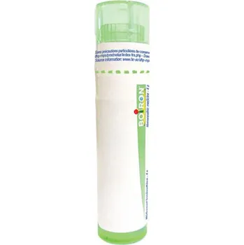 Homeopatikum Boiron Asa foetida granule - 4 g Zvolené ředění: 5CH