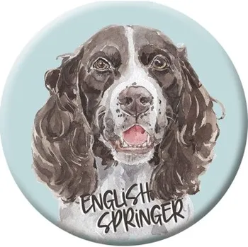 Button (placka) se špendlíkem 44 mm - English Springer