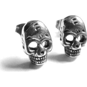 Náušnice Steel Jewelry Náušnice lebky z chirurgické oceli NS090487 dárkové balení zdarma