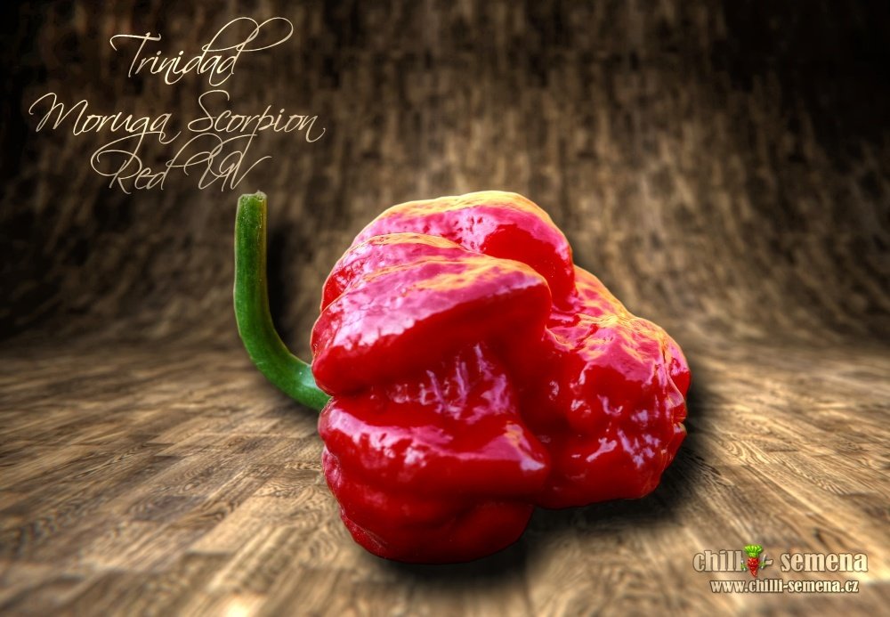 chilli-semena Trinidad Moruga Scorpion Red UV