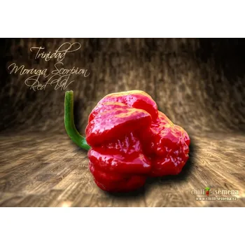 Semeno chilli-semena Trinidad Moruga Scorpion Red UV