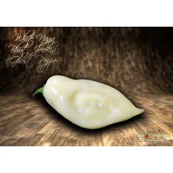Semeno chilli-semena White Naga Bhut Jolokia (Ghost Pepper)