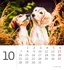 Kalendář Helma365 Stolní kalendář Mini Puppies 2024