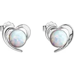 Evolution Group 31259.3