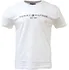 Pánské tričko Tommy Hilfiger Core Logo 22s23116 L