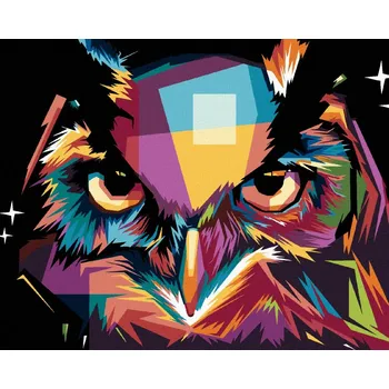 Hračka Diamondi Diamantové malování - PORTRÉT BAREVNÁ SOVA Rozměr: 40x50 cm, Rámování: bez rámu a bez vypnutí plátna