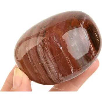 Přírodní kámen Hladký kámen zkamenělé dřevo (Madagaskar) 205g