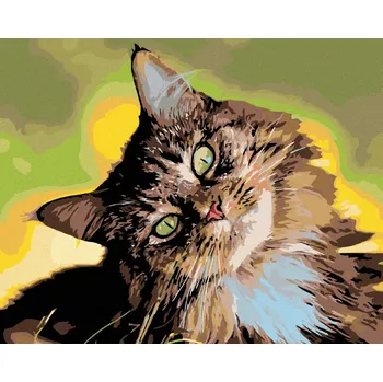 Hračka Diamondi Diamantové malování - MOUROVATÝ KOCOUR Rozměr: 40x50 cm, Rámování: vypnuté plátno na rám