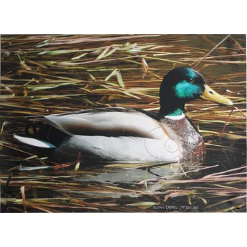 Příslušenství pro luk a kuši Black Flash Lukostřelecký terč Kačer