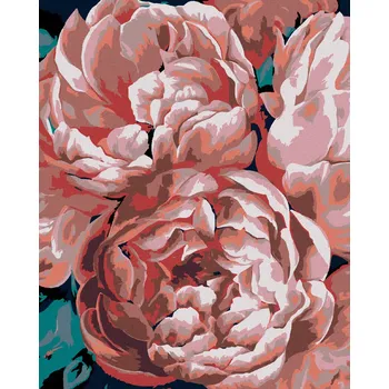 Hračka Diamondi Diamantové malování - PIVOŇKY VE SVĚTLE Rozměr: 40x50 cm, Rámování: bez rámu a bez vypnutí plátna