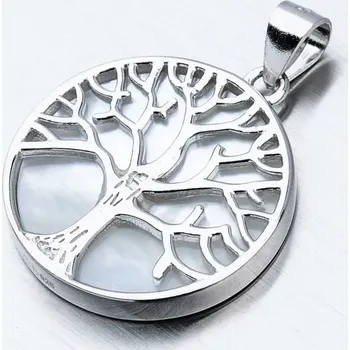 Přívěsek Dámský přívěsek stříbro 925 HST-13519