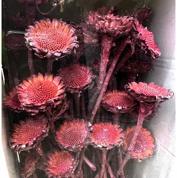 Zahradní dekorace SUSANNAE ROSETTE FROSTED RED TRAY ( 50 PC )