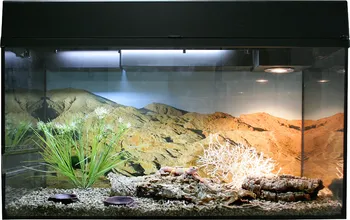 Terárium Lucky Reptile Starter Kit Leopard Gecko černé 80 x 40 x 52 cm