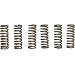 Sada spojkových pružin HONDA CBF 1000 rok 06-14