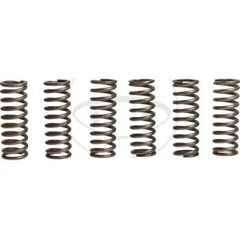 Sada spojkových pružin HONDA CBF 1000 rok 06-14