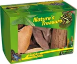 Lucky Reptile Nature´s Treasure Deco Box