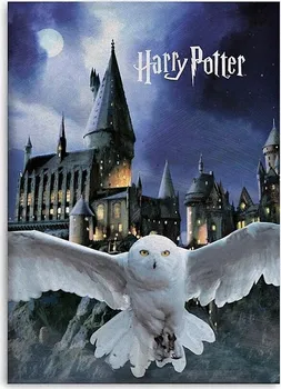 Dětská deka Aymax Fleecová Deka Harry Potter Hedvika 100 x 140 cm