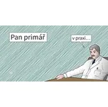 Pan primář v praxi