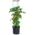 Květináč Prosperplast Tomato Grower 39,2 cm antracit