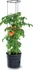 Květináč Prosperplast Tomato Grower 39,2 cm antracit
