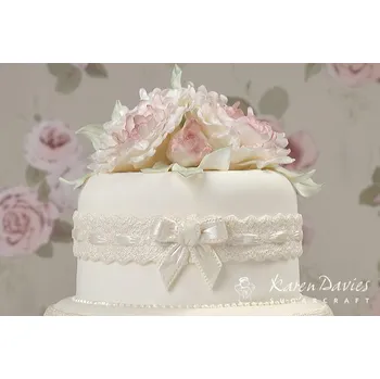 Výtvárné potřeby Silikonová forma zdobená krajka SB03090 - Karen Davies