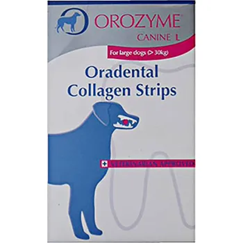 Probiotics International Orozyme enzymatické žvýkací plátky, L 141 g