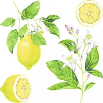 Samolepící dekorace Samolepka na zeď citrony 54122 M 31x31 cm