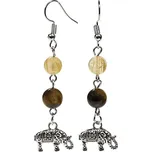 Milujeme Kameny Tygří oko a sagenit s přívěskem slona - náušnice 361079