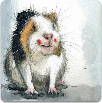 Dekorativní magnet Magnetka Alex Clark Guinea pig, Morčátko (Dekorační magnet s morčetem)