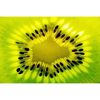 Plakát Plakát, Obraz - Fresh kiwi fruit slice, Stefan Cristian Cioata