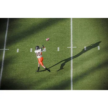 Plakát Plakát, Obraz - American football player catching a pass., David Madison