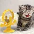 Hračka pro kočku Interaktivní hračka na pamlsky pro kočky 16,5 x 13,6 x 5 cm žlutá