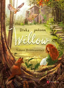 Kniha Dívka jménem Willow - Sabine Bohlmannová (2020) [E-kniha]