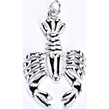 Přívěsek Stříbrný přívěsek měsíční znamení rak - P941 (Stříbrný přívěsek rak)