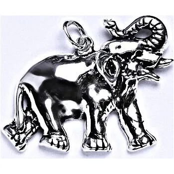 Přívěsek Stříbrný přívěsek slon - P948 (Stříbrný velký slon)