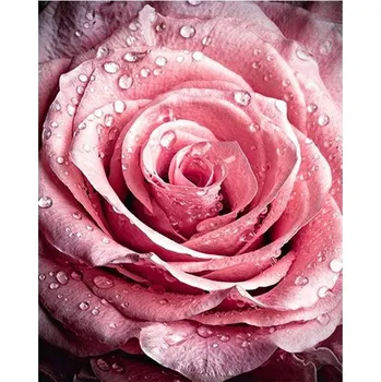 Diamantové malování Diamantové malování - Růžový květ - č. 574 50x70 cm